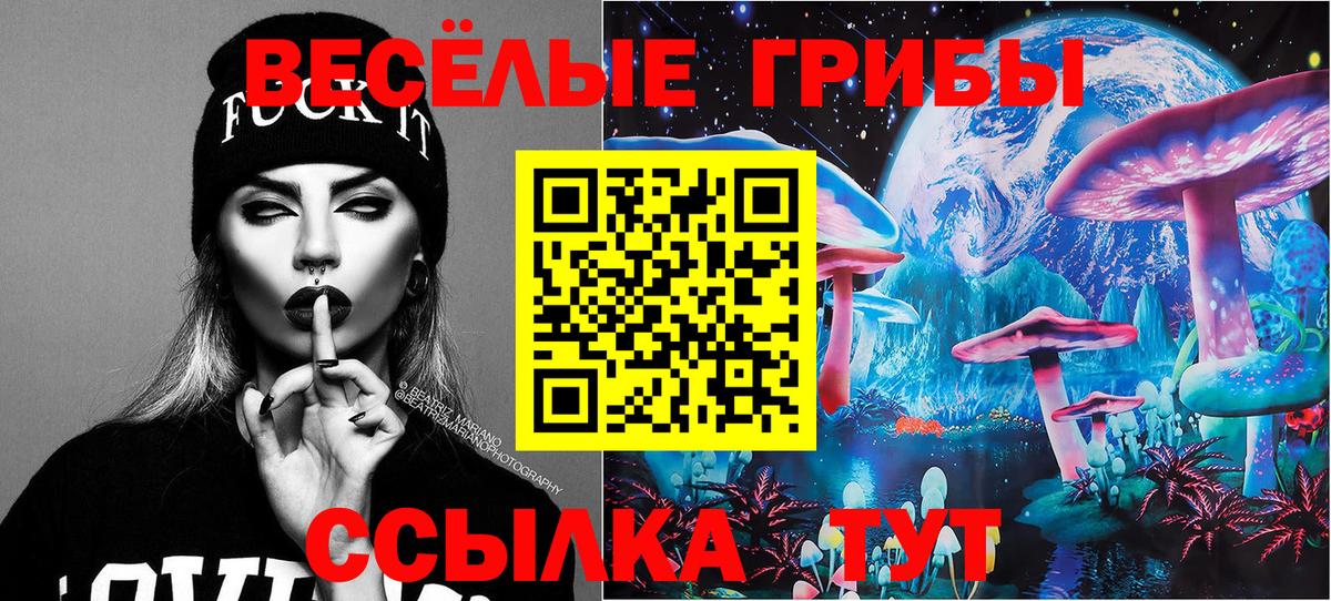 Галлюциногенные грибы Psilocybe  Вход с VPN  Губаха  Псилоцибиновые грибы мухоморы 