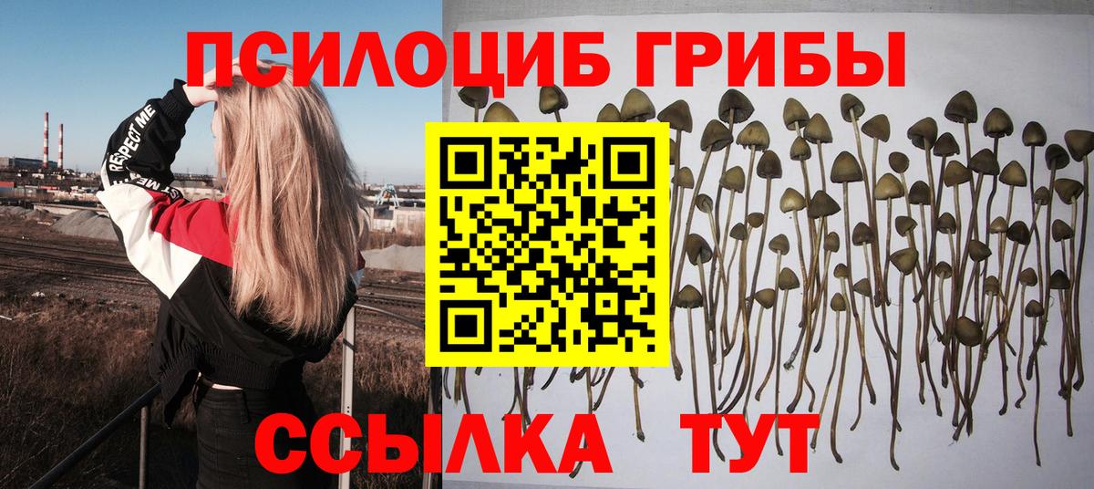 Галлюциногенные грибы Magic Shrooms Губаха